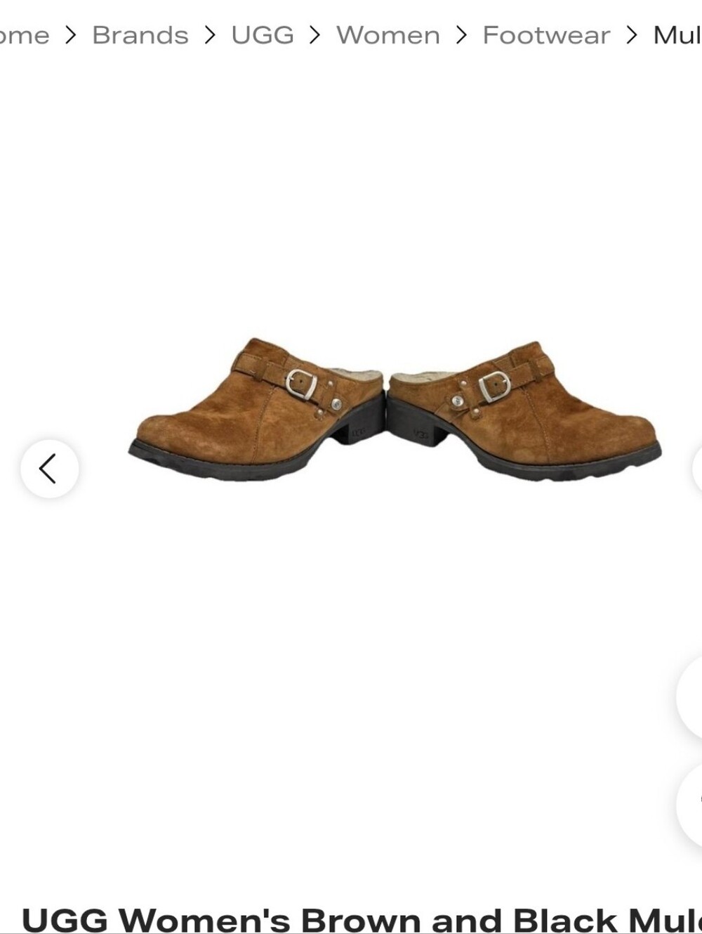 Ugg Mules